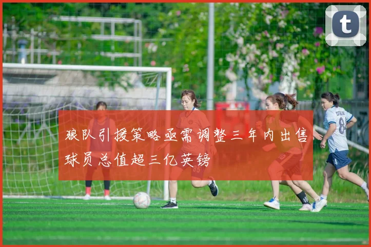 狼队引援策略亟需调整三年内出售球员总值超三亿英镑