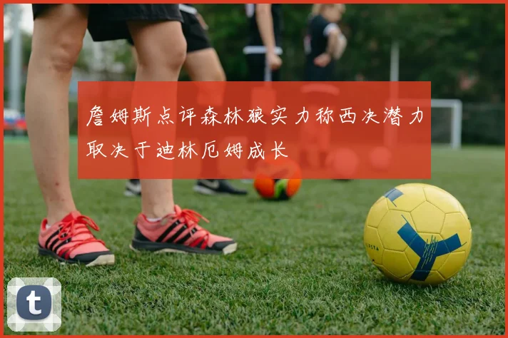 詹姆斯点评森林狼实力称西决潜力取决于迪林厄姆成长