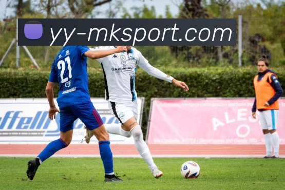 MK体育发展历程